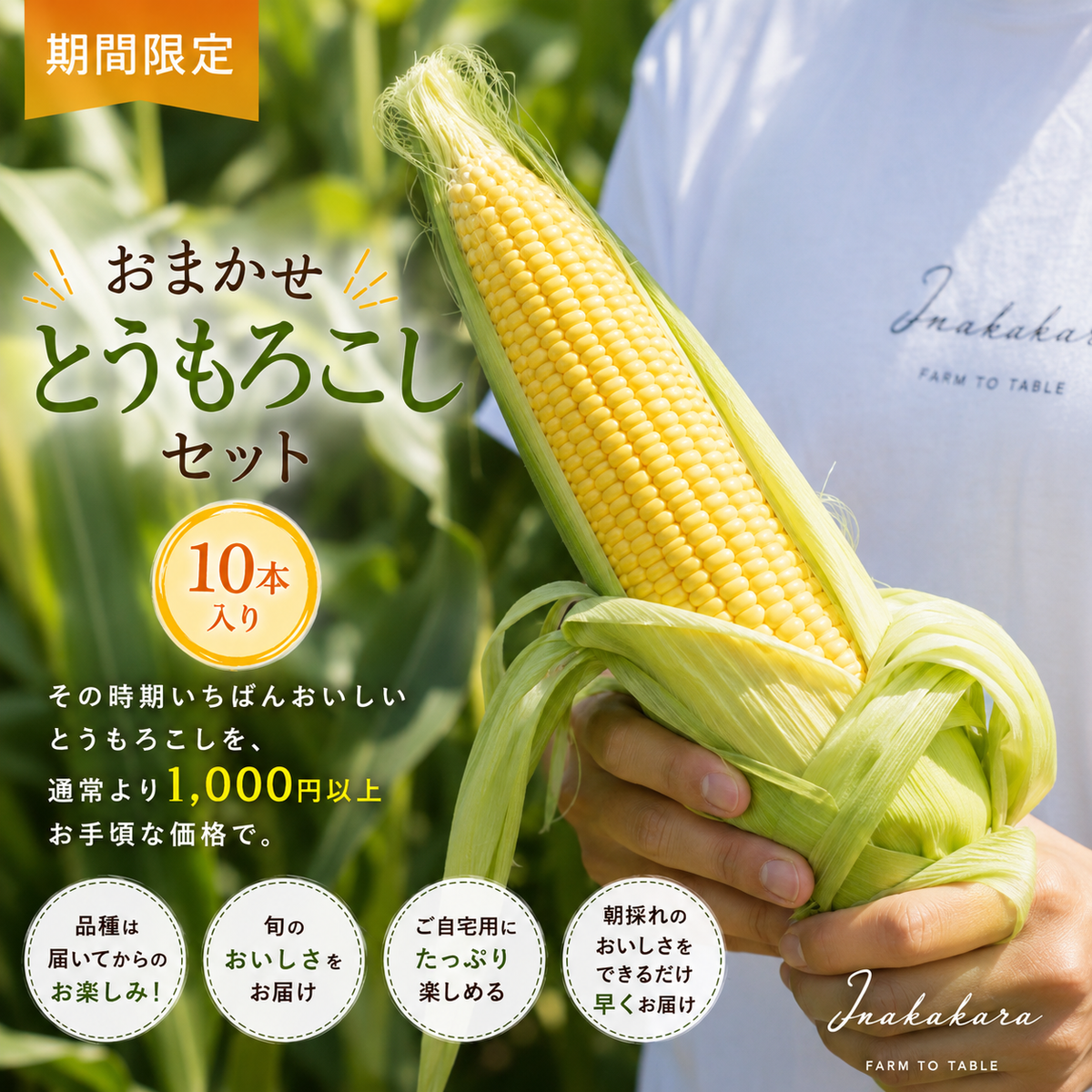 期間・数量限定｜Inakakaraおまかせとうもろこしセット10本入り