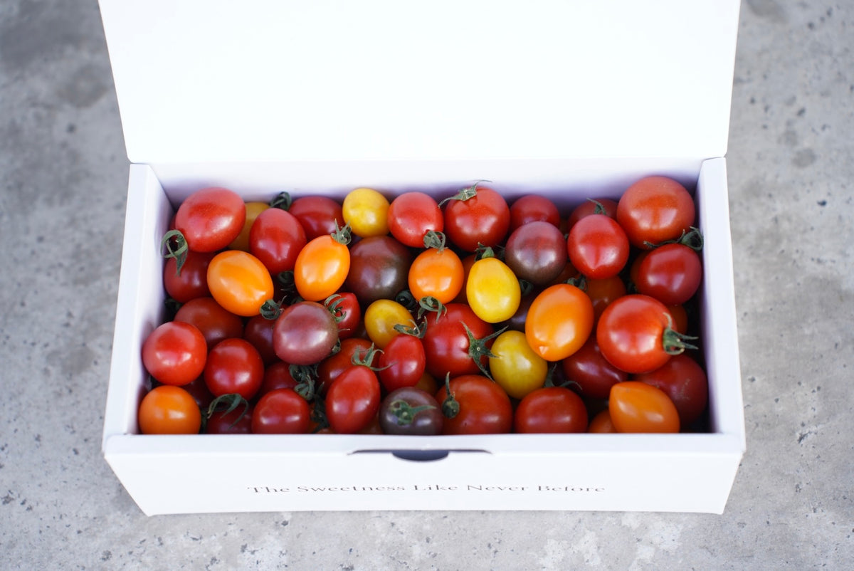期間・数量限定】春の新鮮朝どれ野菜と極上フルーツトマトBOX – Inakakara