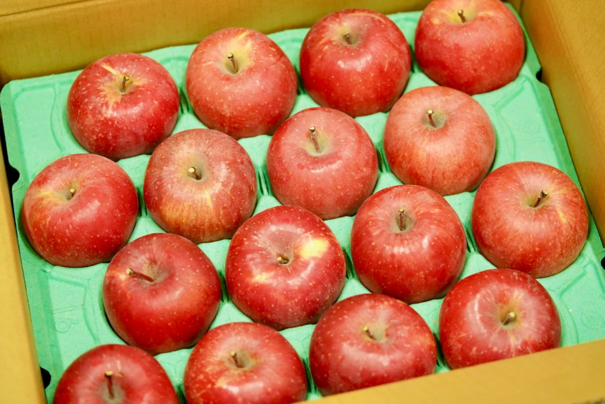 長野県産、サンザシ5キロ 長野県産、サンザシ5キロ 楽天市場】山査子 長野の通販