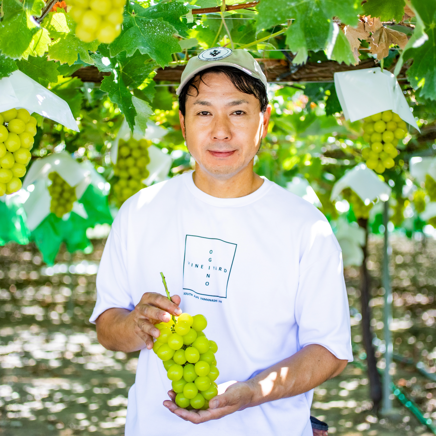 9月中旬から発送】農林水産大臣賞受賞農園・荻野さんのマスカ 9月中旬から発送】農林水産大臣賞受賞農園・荻野さんのマスカ