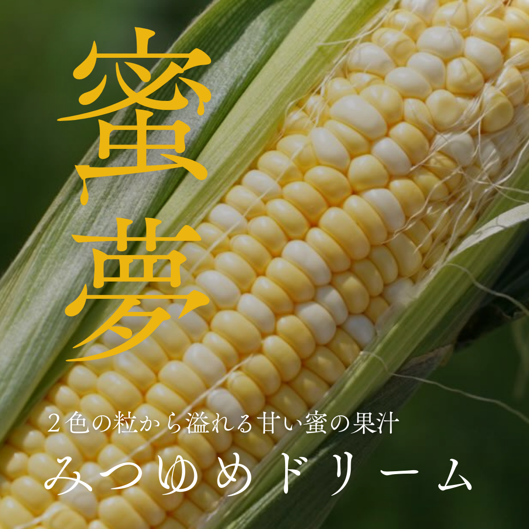 朝採りとうもろこし – Inakakara