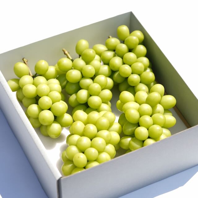 シャインマスカット – Inakakara