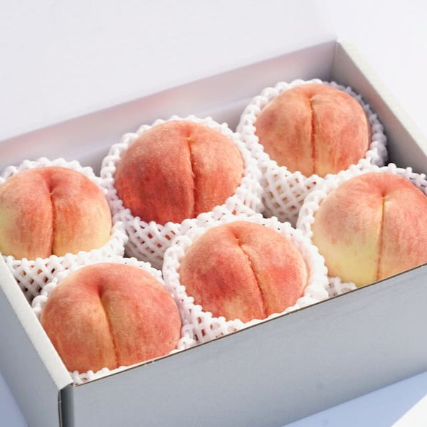 夏の終わりを彩る、極上の淡雅な桃 「さくら」【2025年8月下旬から発送