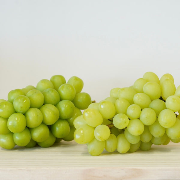 DSC03027_9fd097aa-b1a1-420b-