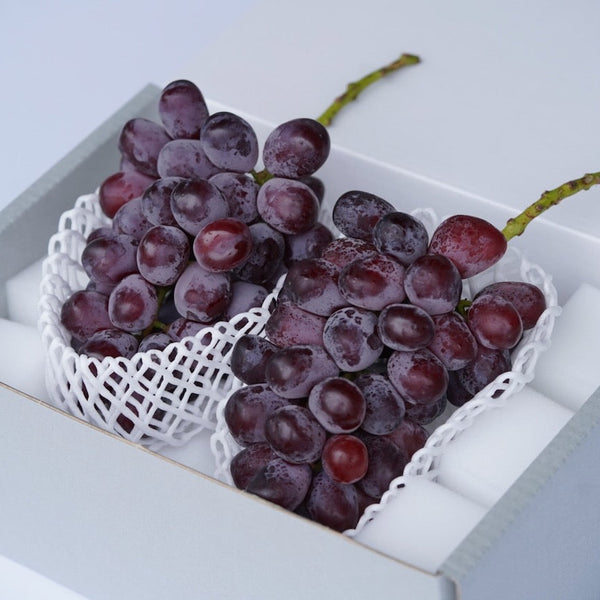 DSC03218_grande.jpg?v=1760152897