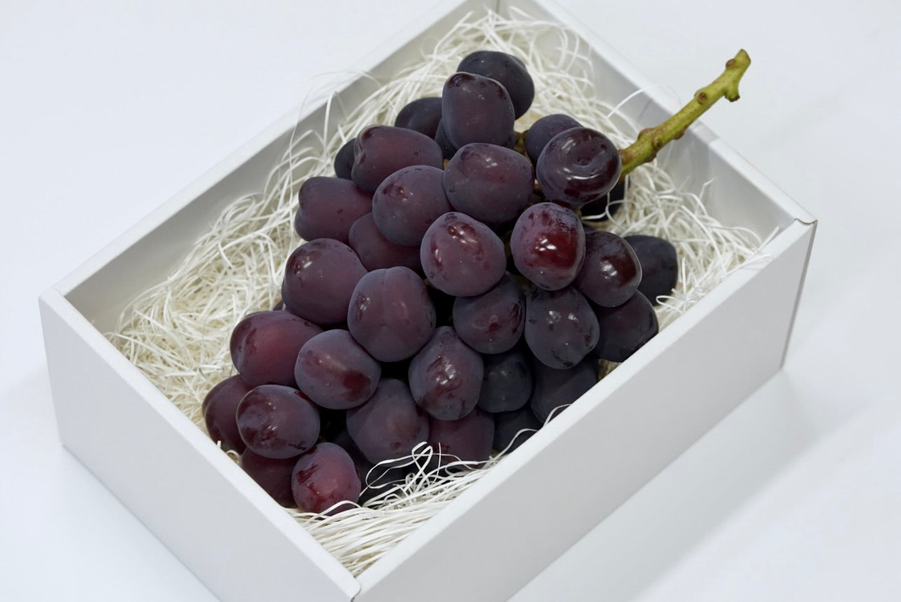 富士の輝き  富士の輝 – Inakakara