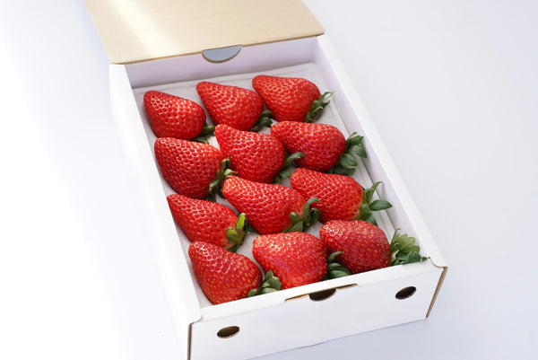 【貴重】いちご100％★グッズ入り缶★非売品★少年ジャンプ抽選当選★激レア缶詰 貴重】いちご100％☆グッズ入り缶☆非売品☆少年ジャンプ抽選当選☆