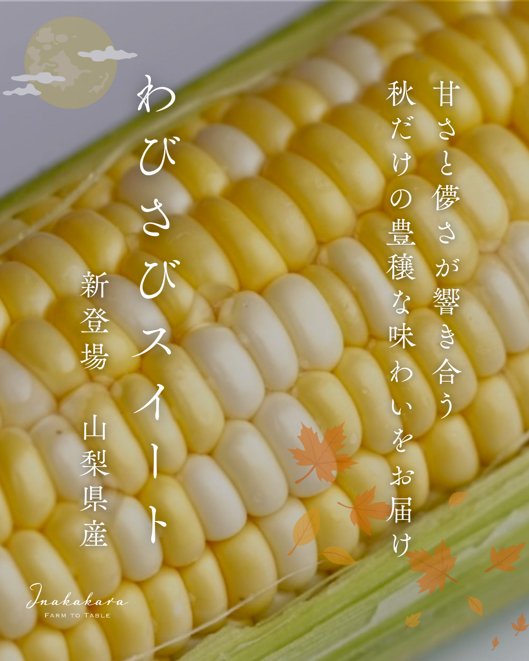 ②山梨県　松茸　夕方採れたて約140gクール便込み　翌日受け取り限定　遠方不可 楽天市場】北米産 松茸 超特選 約400g 5〜10本 8月下旬〜2025年