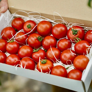産地直送のフルーツトマト「フルティカ」